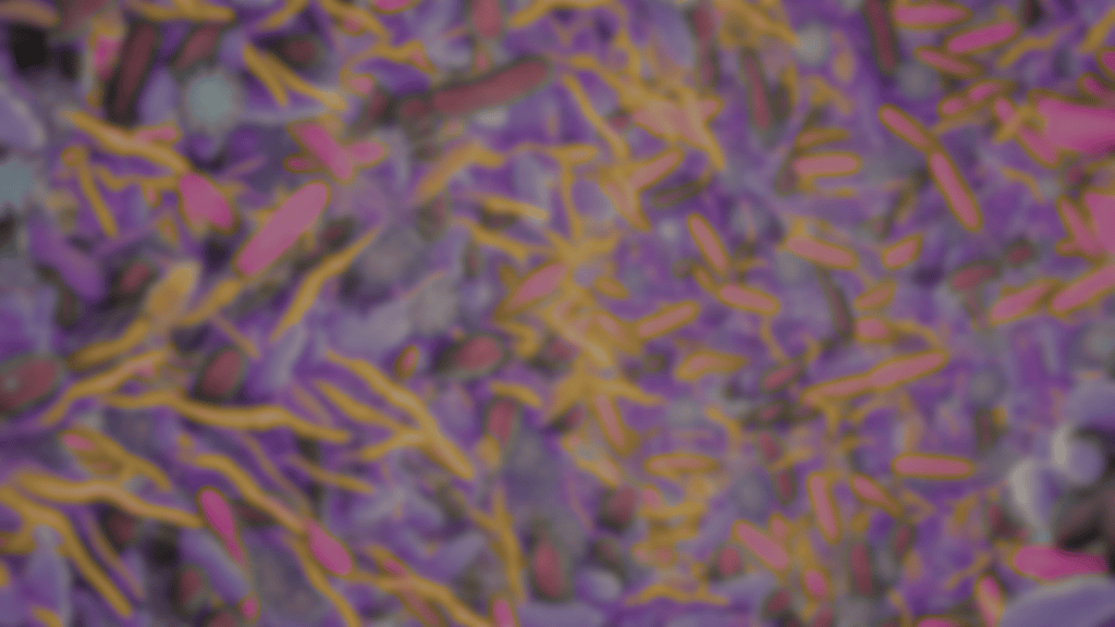 Approach to Patients with Disorders of Gut-Brain Interaction-Induced ...